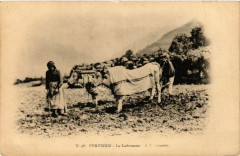 Pyrenées - Le Laboureur