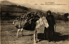 Les Pyrenées - Deux inseparables revenant du Bois