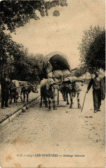 Les Pyrenées - Attelage bernais