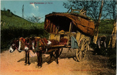 Les Pyrenées - Attelage BEARNais
