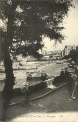 Biarritz - Sous les Tamaris à Biarritz