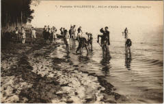 Fondation Wallerstein - Aérium d'Ares - Patauceace