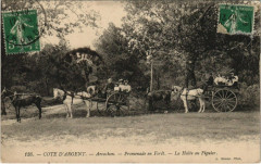 Cote d'Argent - Arcachon - Promenade en Foret à Arcachon