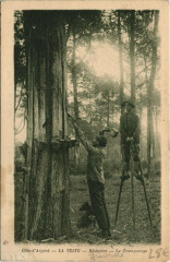 La Teste-Résiniers-Le Cramponage