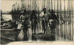 Arcachon-Les Parcs a Huitres à Arcachon