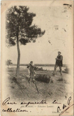 Arcachon-Echassiers Landais à Arcachon