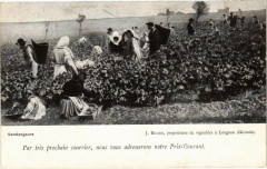 Par trés prochain courrier nous vous adresserons notre Prix-Courant