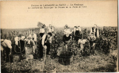 Env. de lamalou-les-Bains - Les vendanges