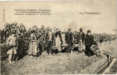 Fernand dagneau proprietaire