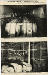 Les grands vins de la gironde illustres