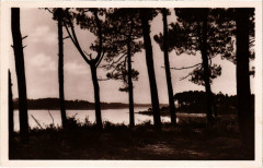 Hossegor - Vue générale sur le Lac, a travers les Pins