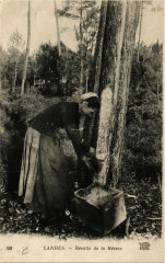 Landes - Recolte de la Resine - Folklore