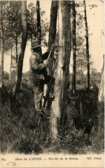Dans les Landes - Recolte de la Resine - Folklore