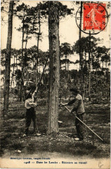 Dans les Landes - Resiniers au Travail - Folklore