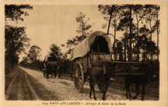 Dans les Landes - Attelages de Mules sur la Route - Folklore