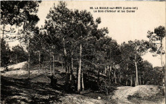 La Baule-sur-Mer (Loire-Inf.) - Le Bois d'Amour et les Dunes