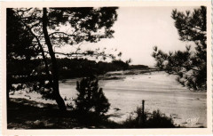 Saint-Brevin-l'Ocean --les-Pins et le Pointeau -
													44 Loire Atlantique
												