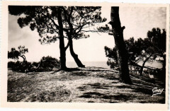 Saint-Brevin-l'Ocean - La Plage et-les-Pins