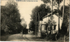 Saint-Brevin - Le train dans les bois -
													44 Loire Atlantique
												