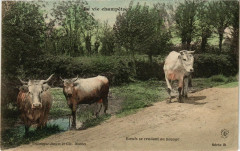 La vie Champetre -
													44 Loire Atlantique
												