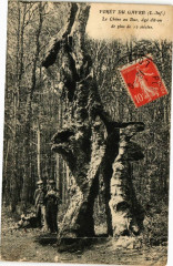Foret Du Gavre Le Chene au Duc -
													44 Loire Atlantique
												