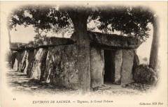 Bagneux Le Grand Dolmen -
													49 Maine et Loire
												