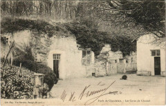 Foret de Chandelais-Les Caves de Chanzel