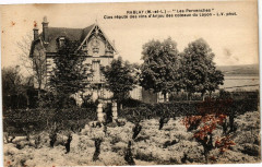 Rablay - Les Pervenches - Clos repute des vins d'Anjou..