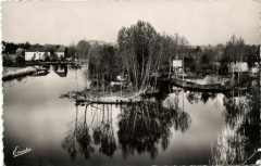 VillEVEQUE (M.& L.) Les Bords du Loir -
													49 Maine et Loire
												