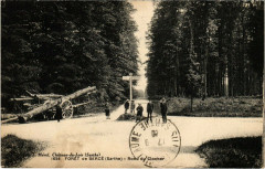 Foret de Bercé - Rond du Clocher -
													72 Sarthe
												