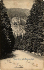Hirschsteinried