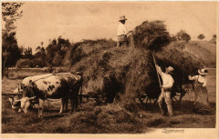 Zoebersdorf - Zobersdorf - Folklore - Types