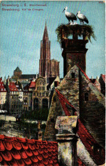 Strassburg i. E. Storchennest