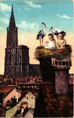 Strassburg Storchennest