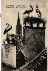Strassburg - Storchennest