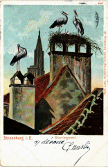 Strassburg - Storchennest