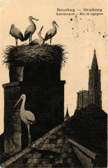Strassburg - Storchennest