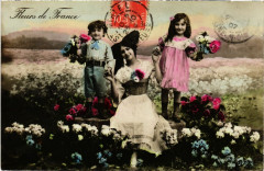 Fleurs de France - Folklore - Types