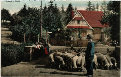 Alsace - Elsass - Folklore - Type -
													67 Bas Rhin
												