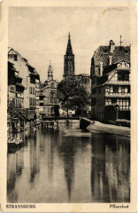 Strassburg - Pflanzbad