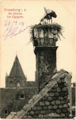 Strassburg i.e. - Die Storche