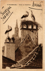 Strassburg - Nids de Cigognes