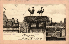 Strassburg Storche