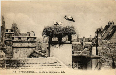 Strassburg Un Nid de Cigognes -
													67 Bas Rhin
												