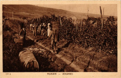 Riquewihr - Vendanges