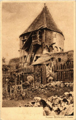 Carte postale ancienne Alsacée - Bergheim
                                                                     à Bergheim
                                