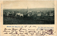 Gruss aus Sulz -
													68 Haut Rhin
												