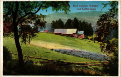 Ried zwischen Munster und Kahlenwassen à Munster