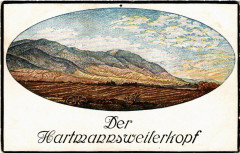 Hartmannsweiler Kopf - Sudhang