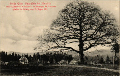Grosse Eiche - Klein-Hohe b. Markirch -
													68 Haut Rhin
												